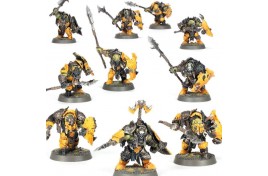 Age of Sigmar - Orruk Clans Ardboys